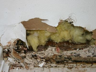 About Dallas Water Damage Restoration - water damage restoration experts in Dallas